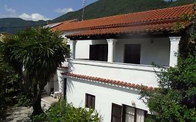 Gorgona Apartments